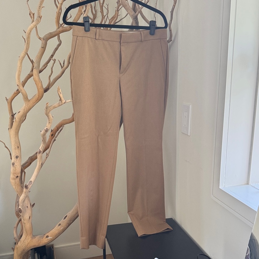 Banana Republic Women's Straight Leg Dress Pants in Light Brown